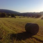Le tour des lacs du Jura : Du bleue, du vert et du Comté