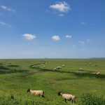 La Bretagne nord : Entre légendes et côtes sauvages
