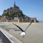 La Bretagne nord : Entre légendes et côtes sauvages