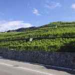 Le tour du lac Léman : Entre lac et montagnes