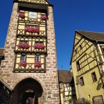 La traversée du vignoble Alsacien - Un itinéraire bucolique et gourmand