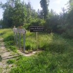 Le tour des lacs du Jura : Du bleue, du vert et du Comté
