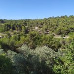 Le tour du Lubéron : Sous le soleil provençal