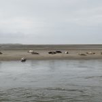 La côte d'Opale : Entre mer et falaises