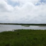 La côte d'Opale : Entre mer et falaises