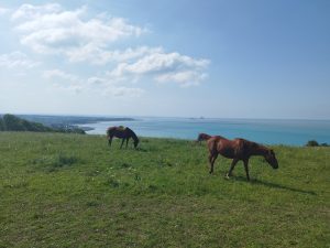 Récits de mes plus beaux voyages à vélo