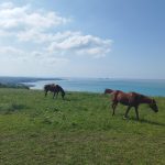 Récits de mes plus beaux voyages à vélo