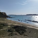La Bretagne nord : Entre légendes et côtes sauvages