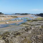 La Bretagne nord : Entre légendes et côtes sauvages