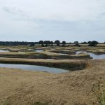 Sur les routes atlantiques : Périple à vélo entre estuaire et océan