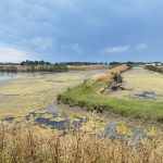 Sur les routes atlantiques : Périple à vélo entre estuaire et océan