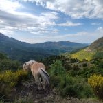 Le Verdon : Une aventure au cœur de la Provence